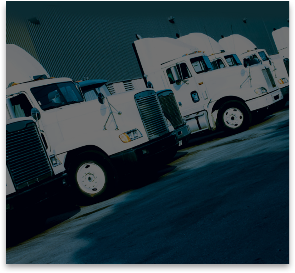 Row of trucks ready for auction
